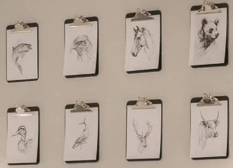 The art wall in room 206