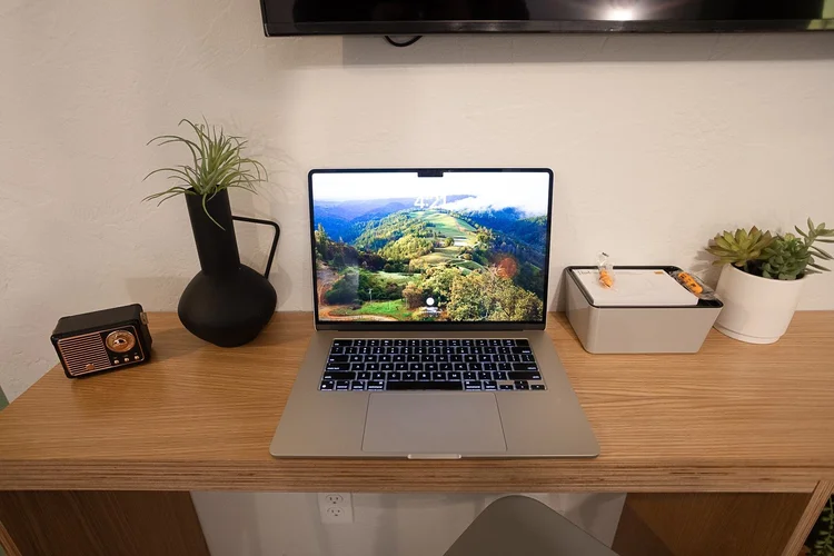 Workstation desk with laptop and plants in room 204