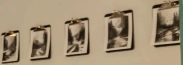 The art wall in room 204