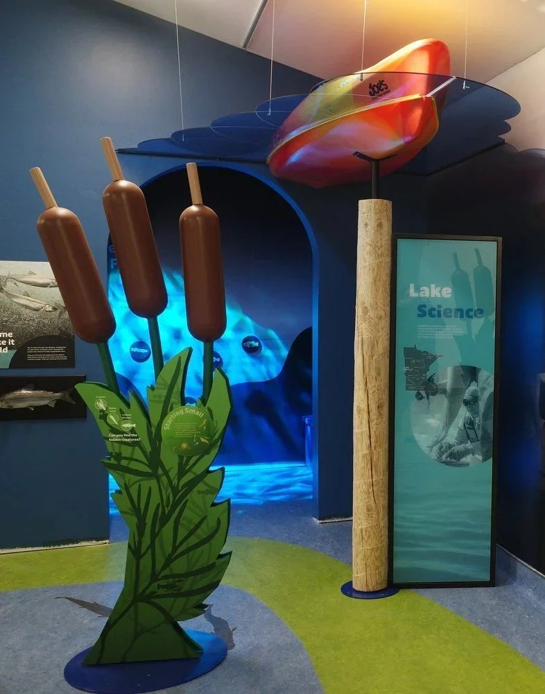 Project: Lake Carlos Visitor Center