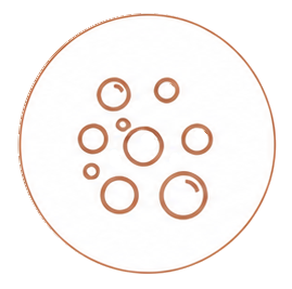 Premium sparkling wine icon