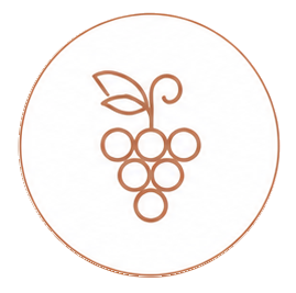Premium grapes icon