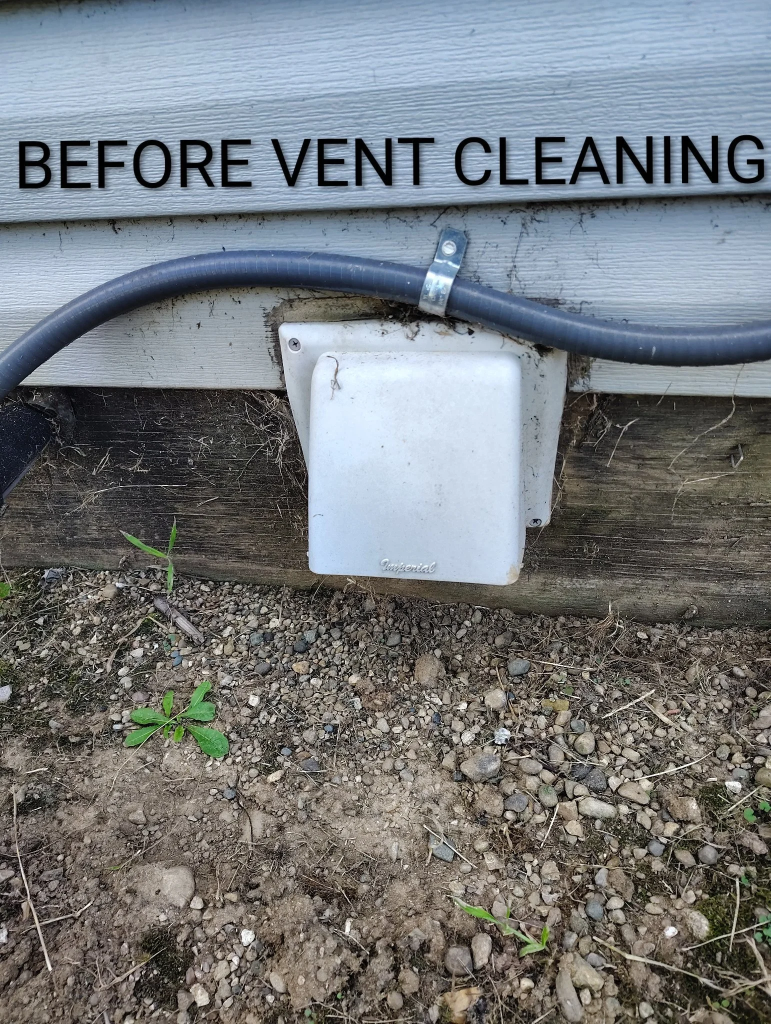 Dryer vent exterior
