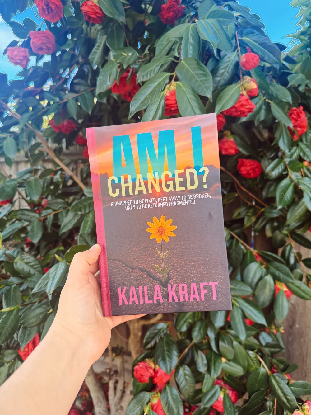 Am I Changed? held up in front of red camellias