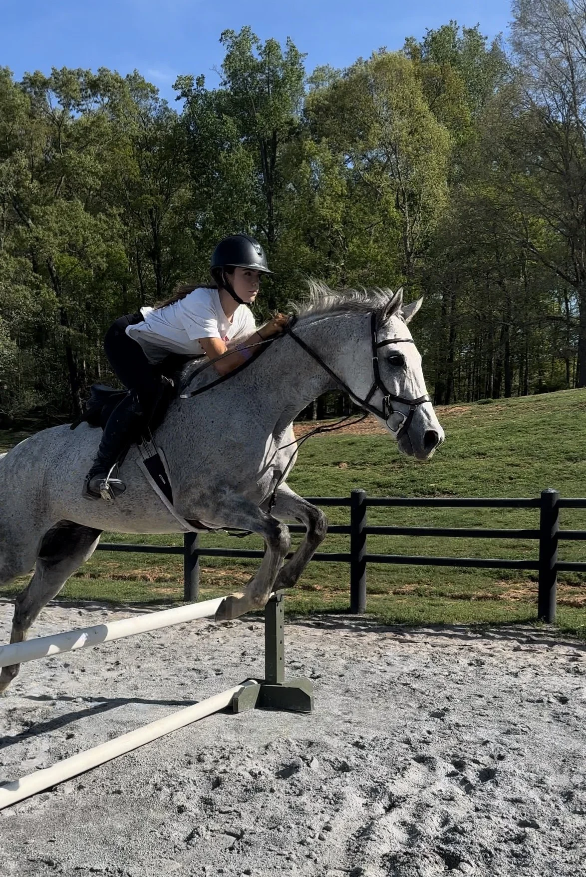Blackrock Equestrian rider and horse in an outdoor arena