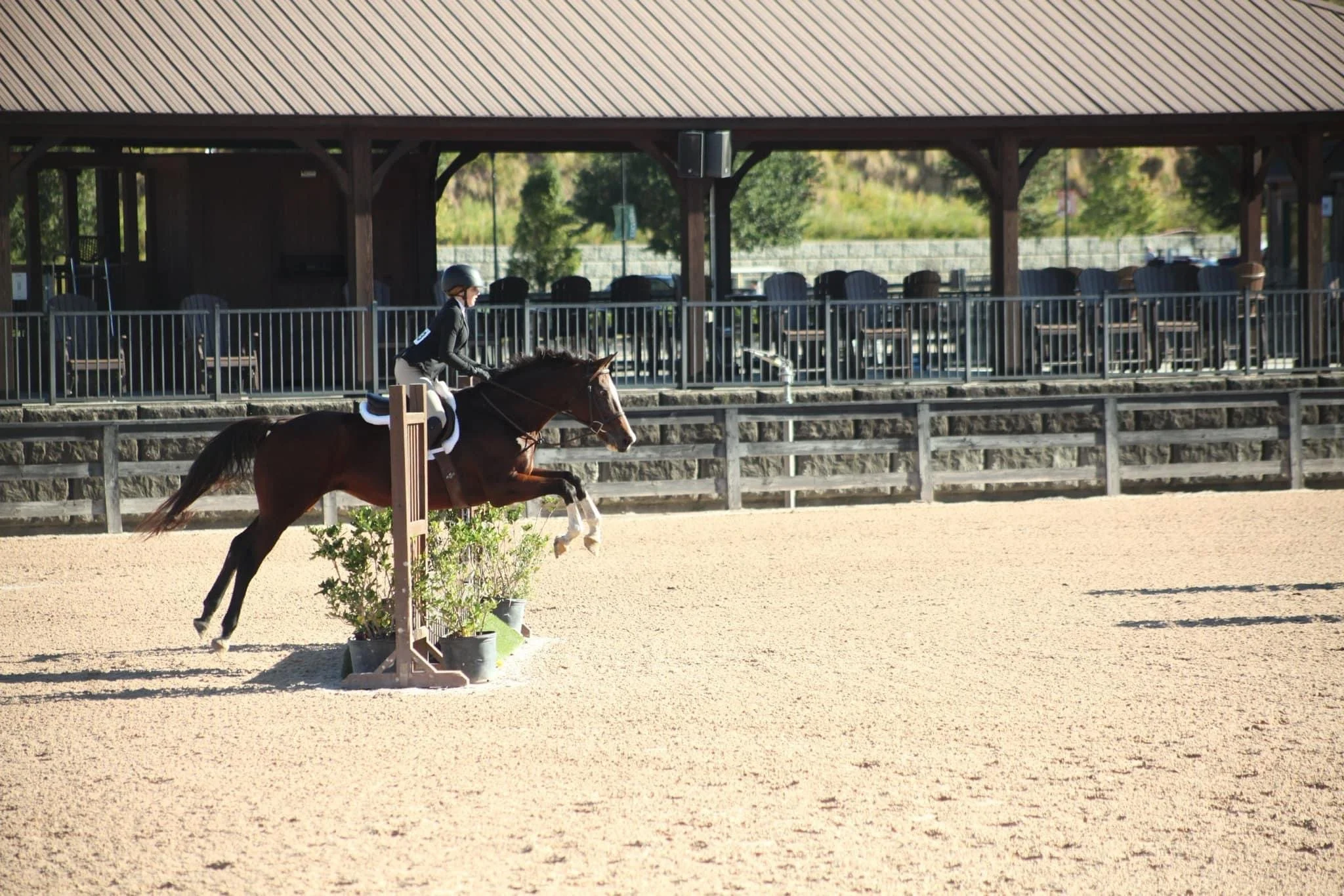 Blackrock rider and chestnut horse competing over a hunter jump