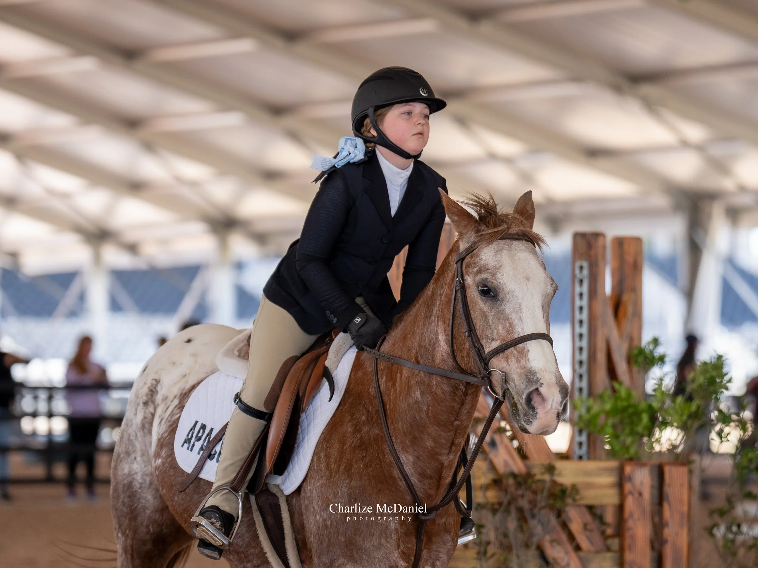 Young Blackrock rider mounted on a bay pony at a horse show