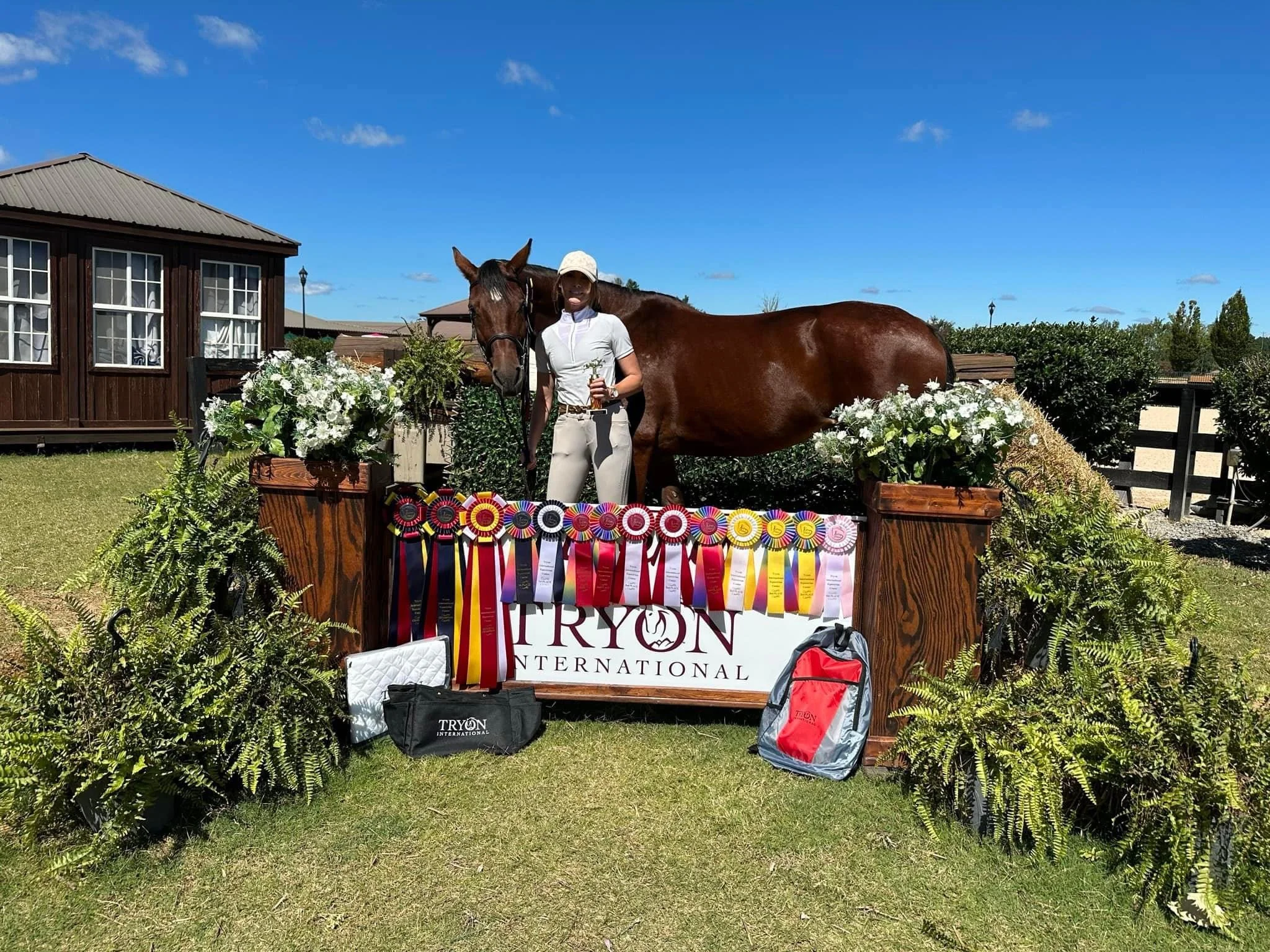 Blackrock rider and bay horse in the show ring