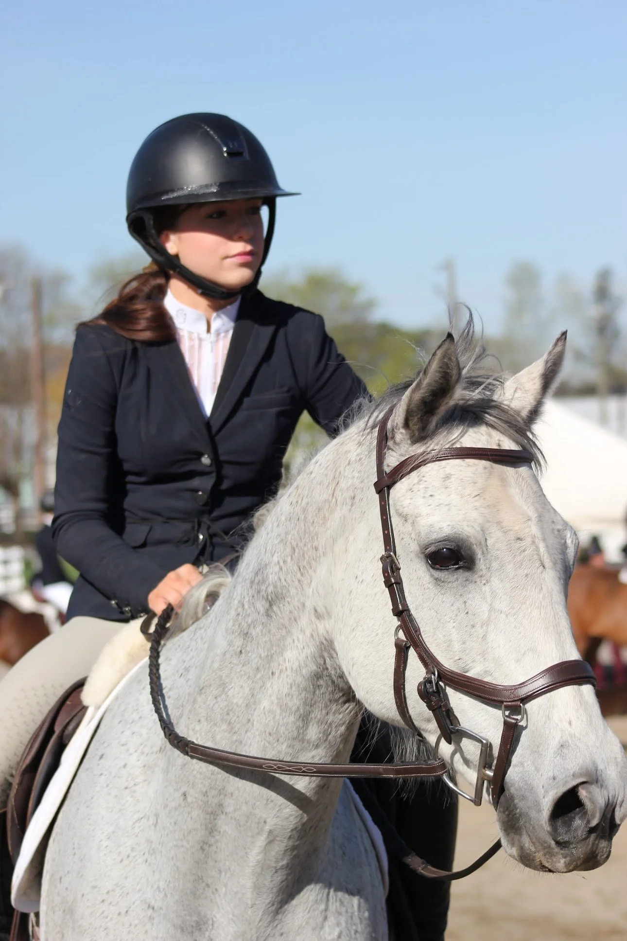 Young Blackrock Equestrian rider on a gray horse at a horse show