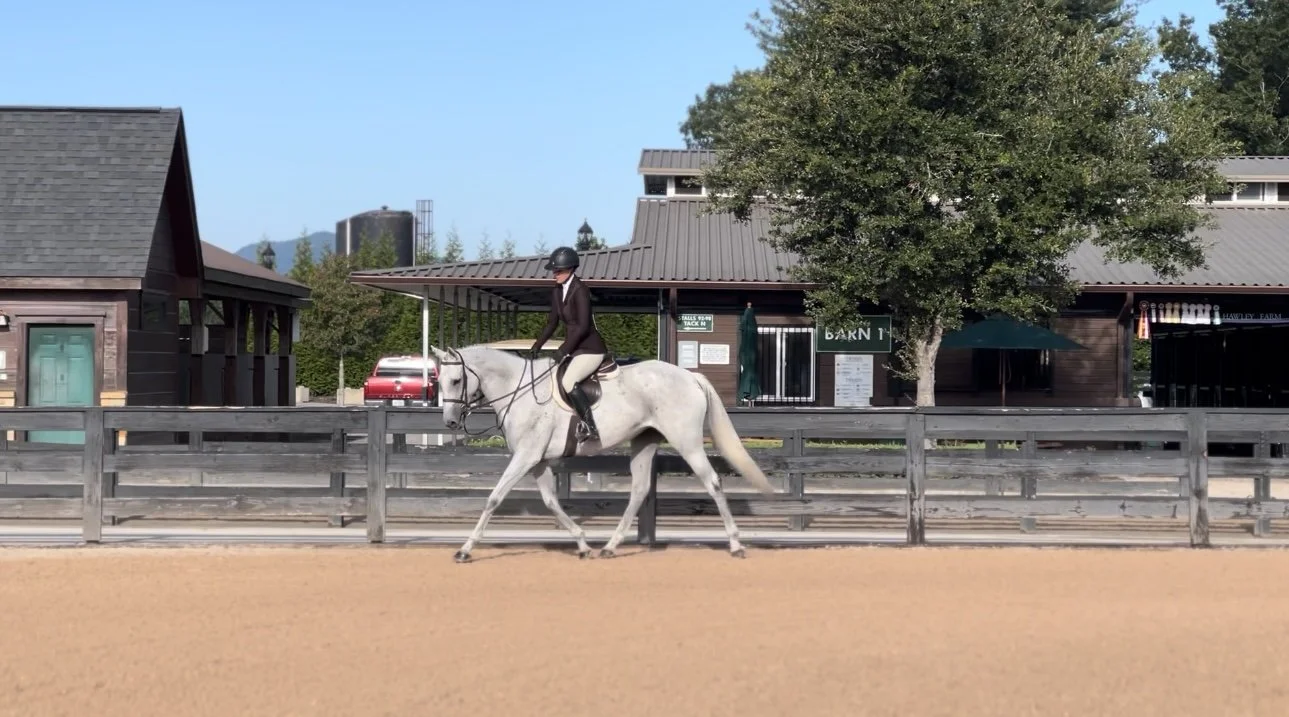 Blackrock rider and gray horse at Tryon International