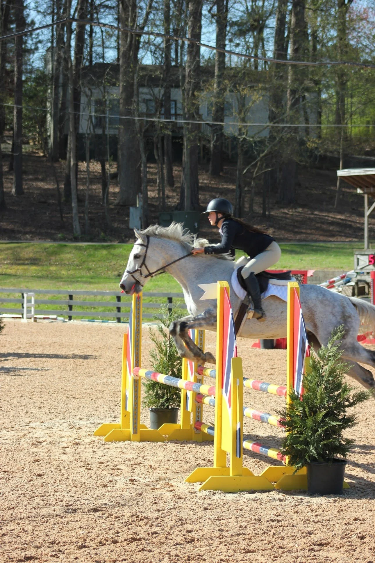 Blackrock rider and gray horse competing over a red jump