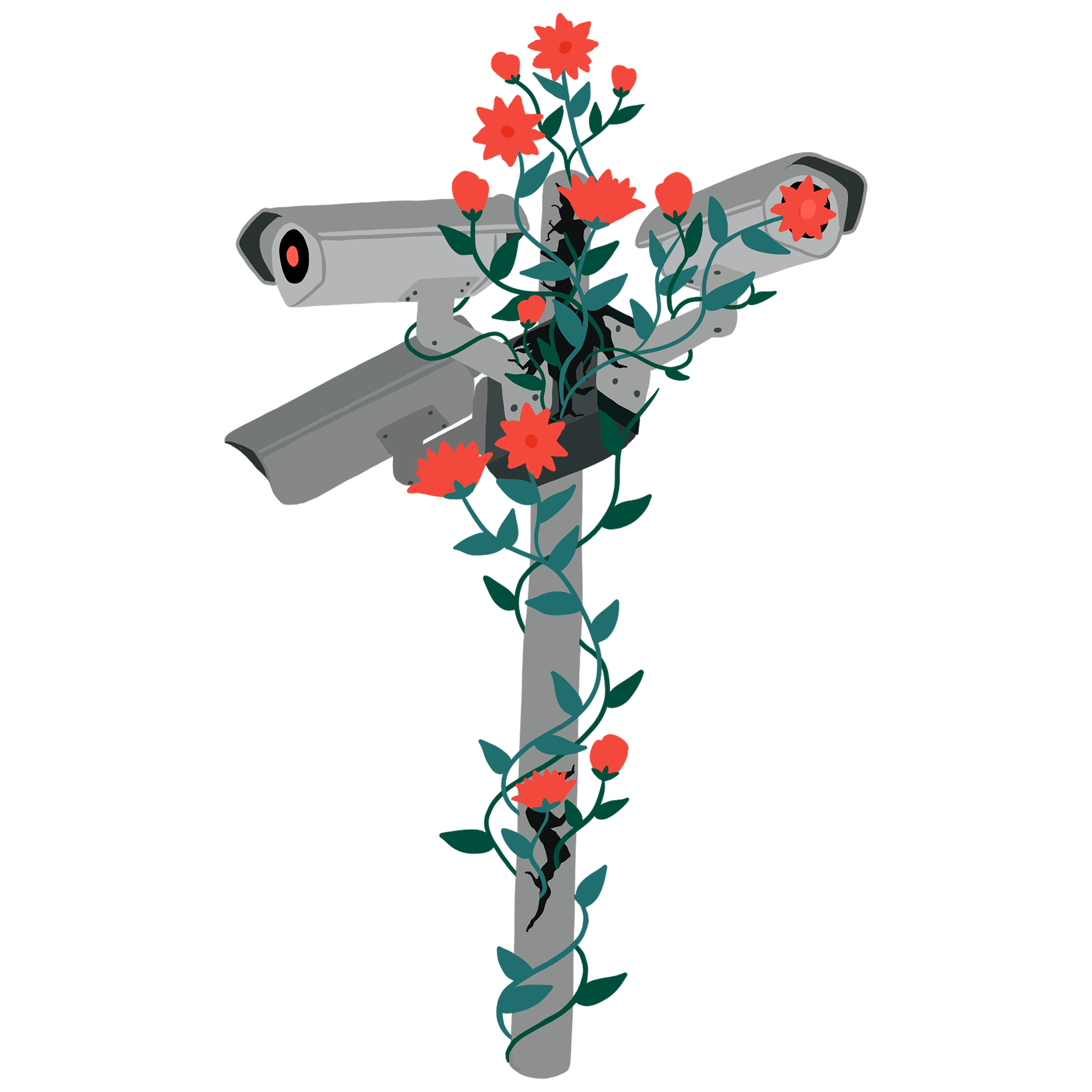 Illustration of surveillance cameras entwined with green vines and red flowers.