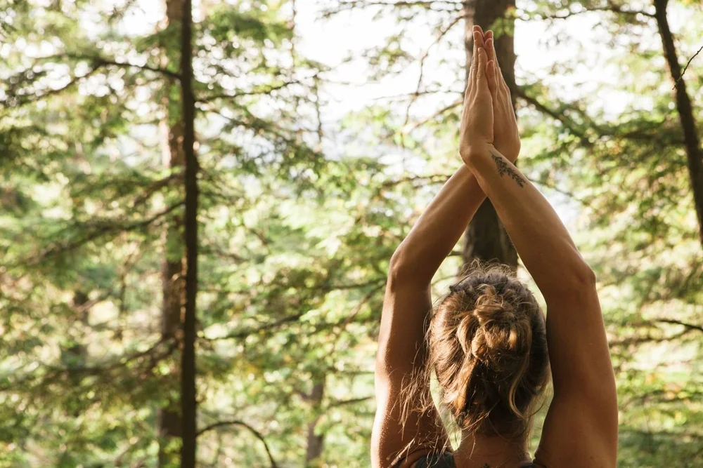 Arms raised overhead among trees