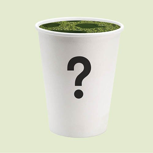 Matcha hot