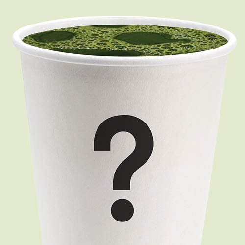 Matcha hot