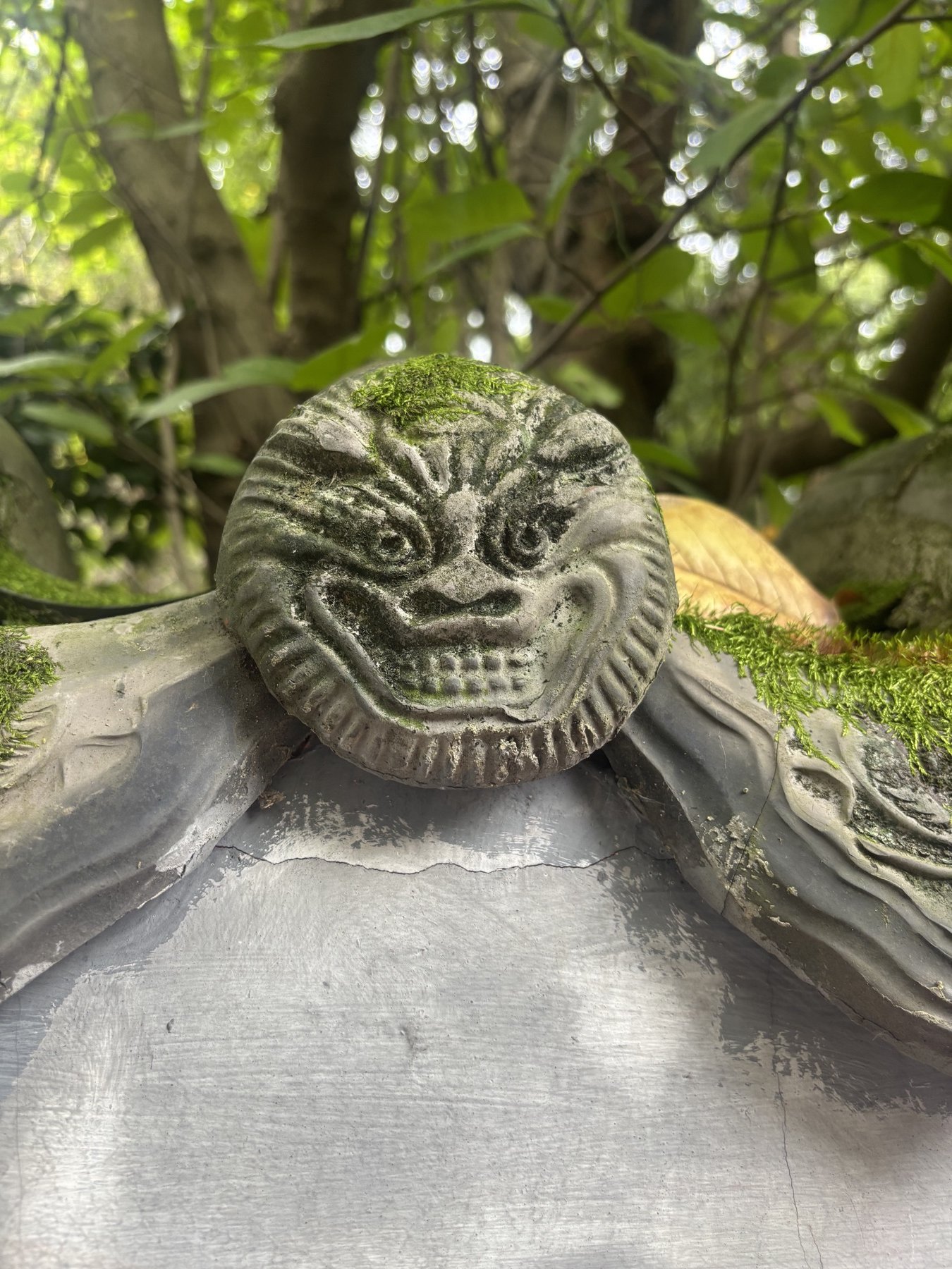 Carved roof tile surrounded by greenery during Nicklas’s holiday in China