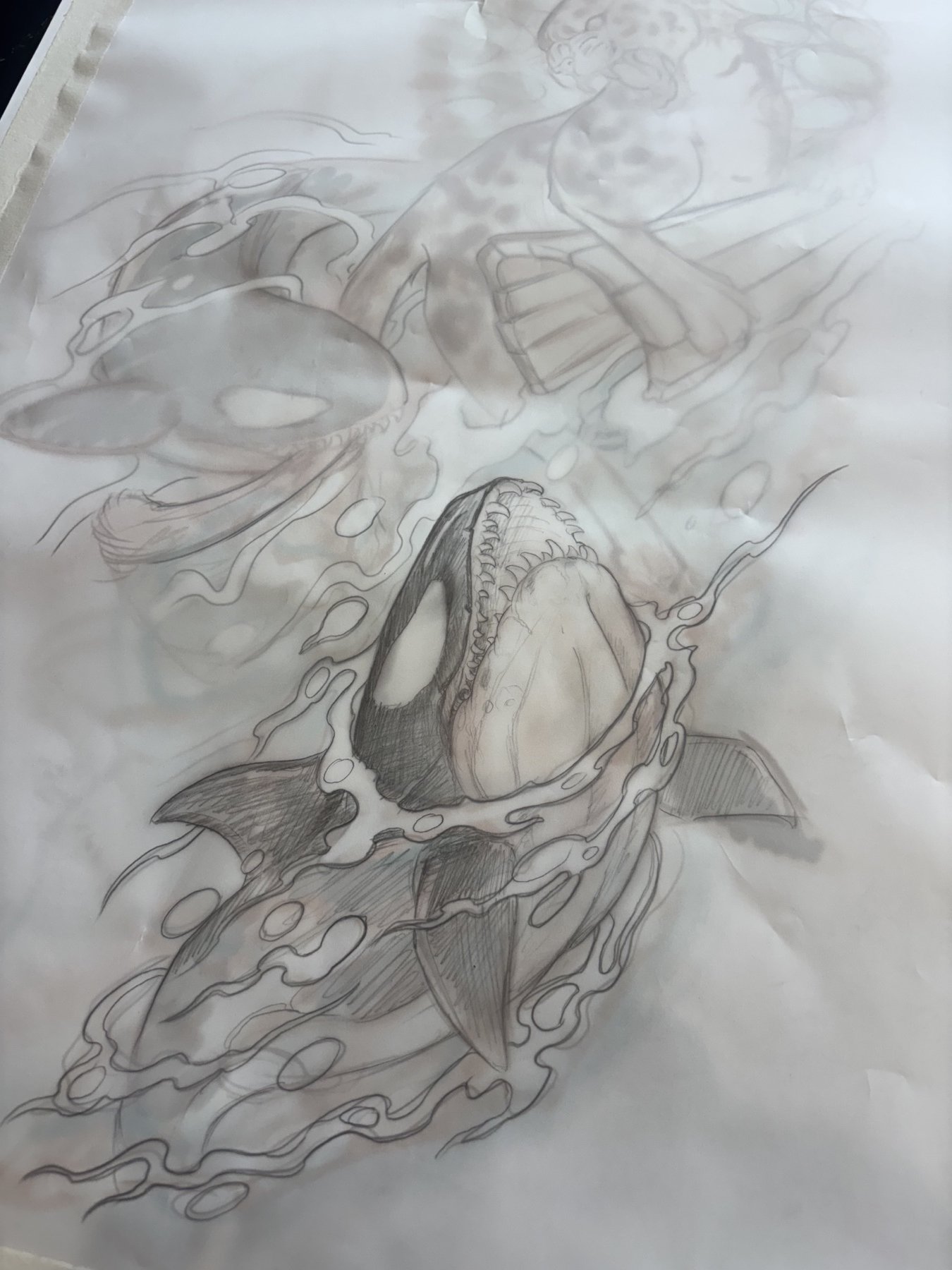 Pencil drawing developing the orca and surrounding water