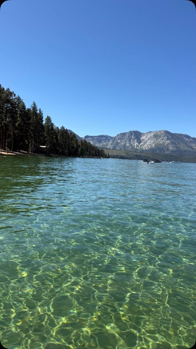 Clear shallow Lake Tahoe water beside a pine-covered shoreline.
