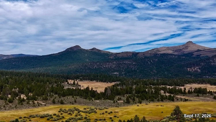 Golden meadow and pine forest below two rocky Sierra peaks and high clouds. Date: Sept 17, 2026.