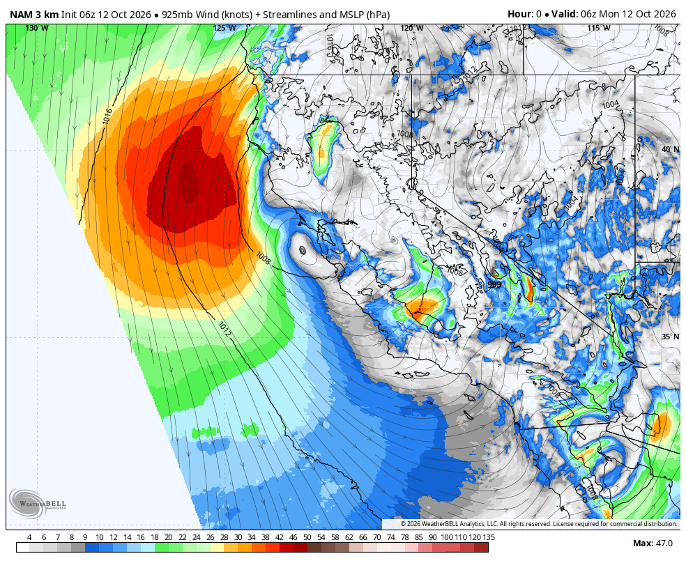 NAM 3km California · 925mb wind speed · MSLP · Wind knots · sea-level pressure hPa · initialized Oct 11 · 11:00 PM PDT