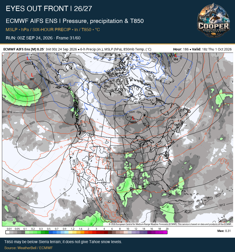 ECMWF AIFS ENS | Pressure, precipitation & T850, middle frame
