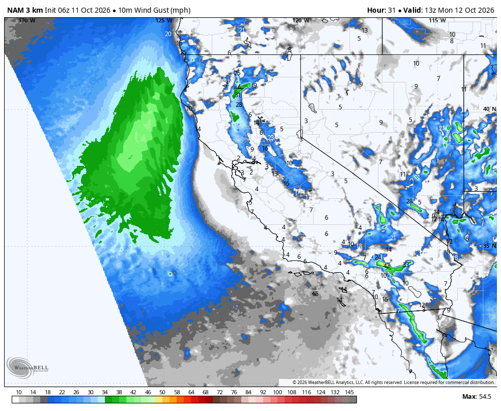 10m wind gust · Middle source frame, valid Oct 12 · 6:00 AM PDT