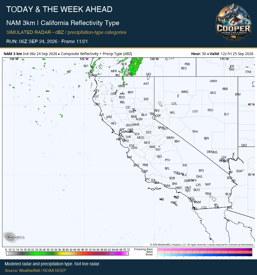 NAM 3km | California Reflectivity Type, middle frame