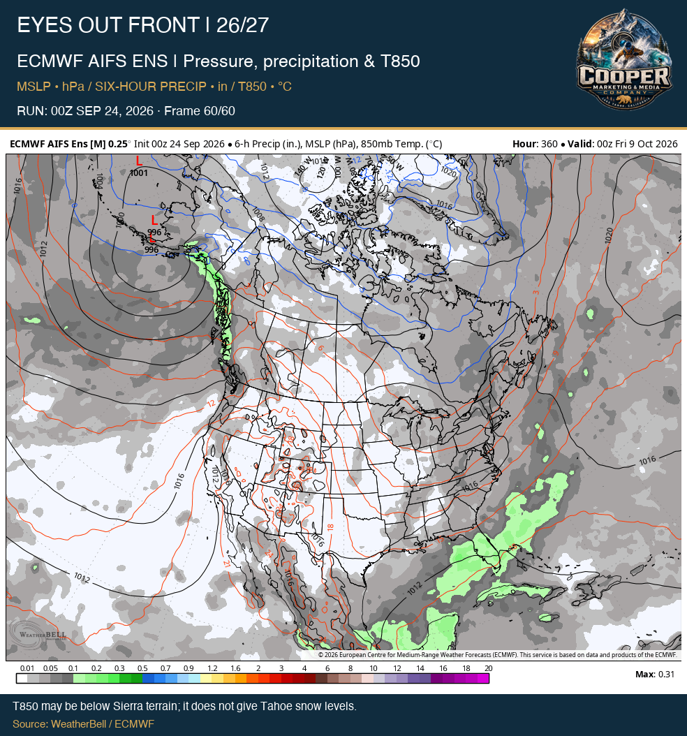 ECMWF AIFS ENS | Pressure, precipitation & T850, final frame