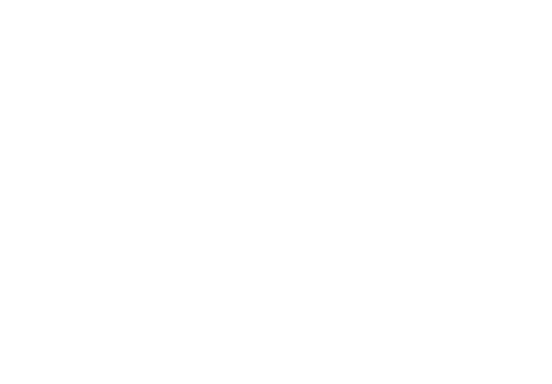 Fast installation icon