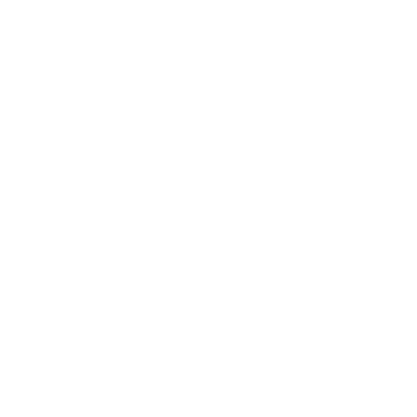 Expert Support