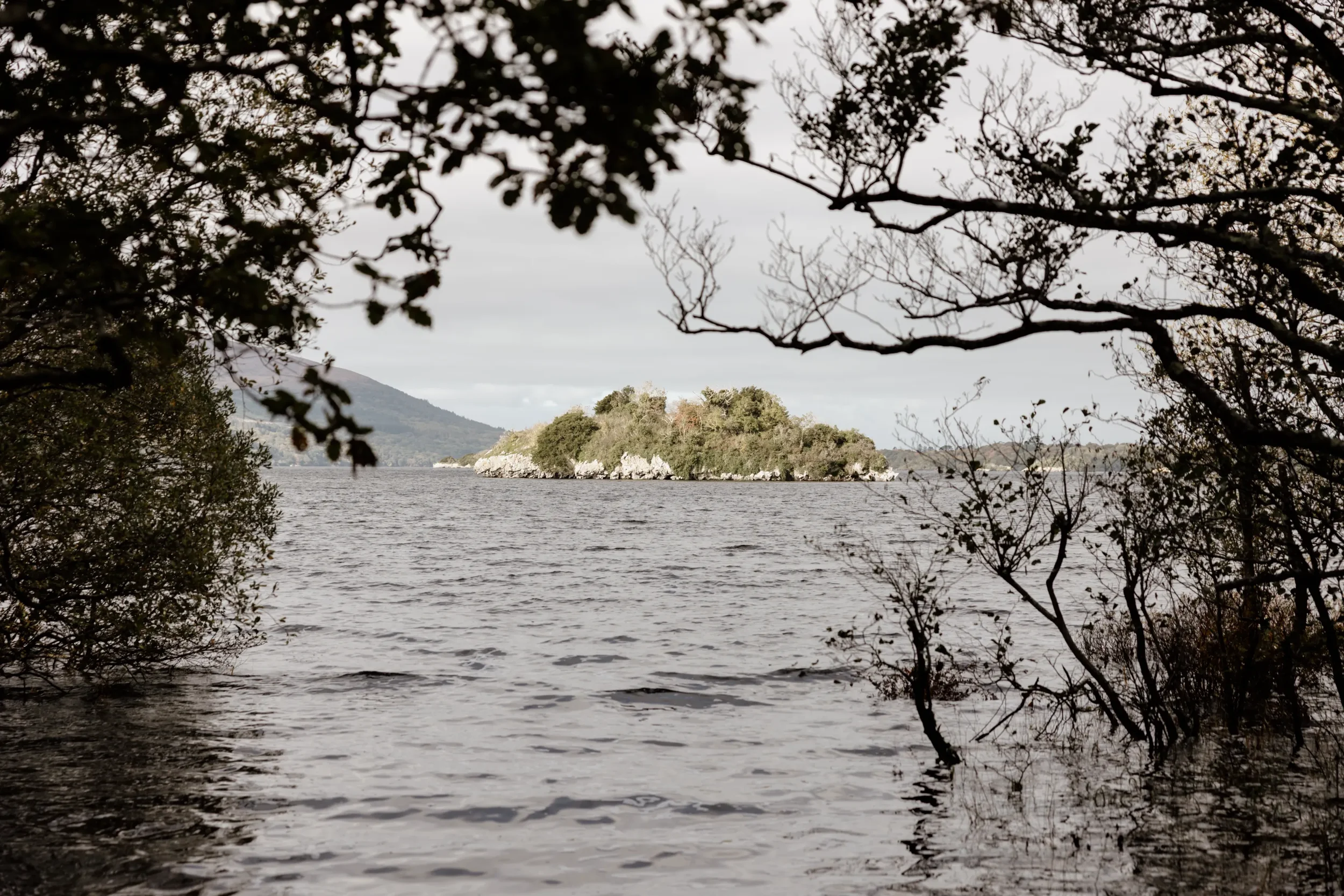 Clare and Nick holding hands
