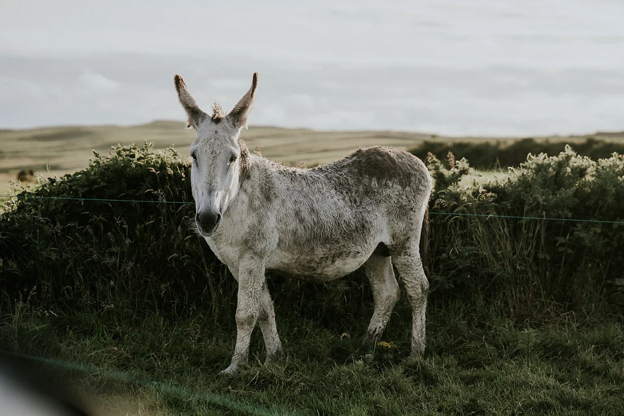 Sebrina and John together