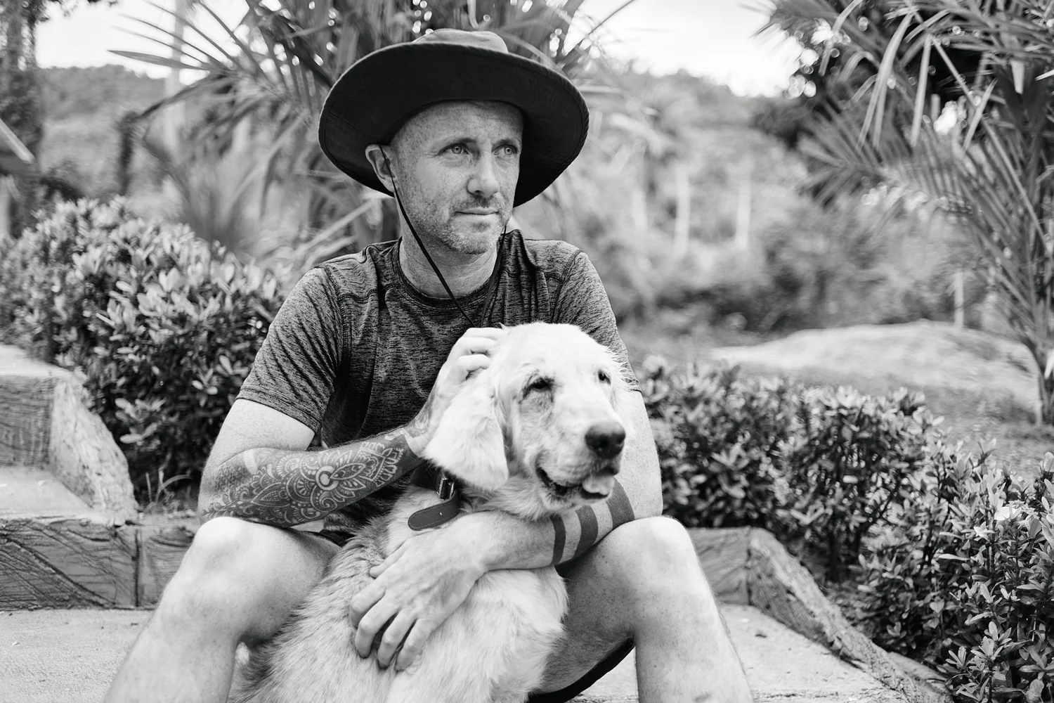 Niall Harbison portrait HarperCollins book Hope cover