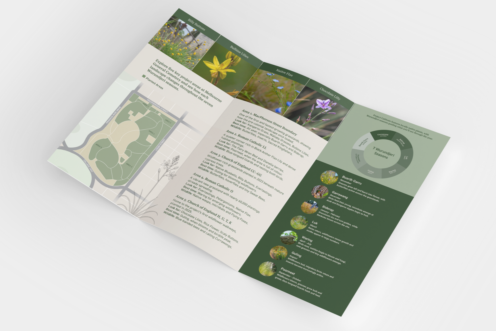 Brochures