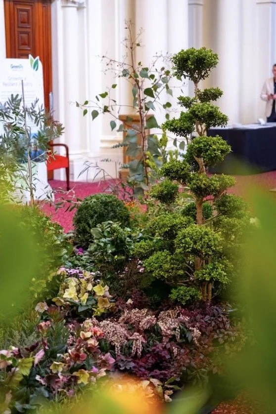 Sculpted topiary and planting inside Parliament