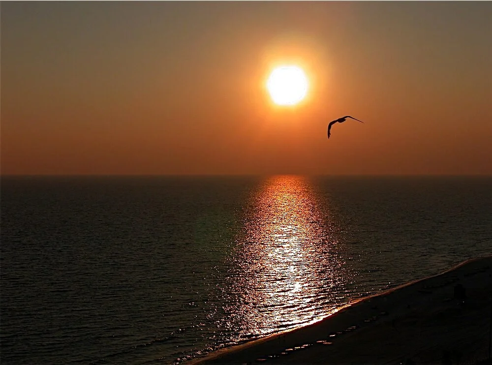 Gulf Coast Sunset Reflection