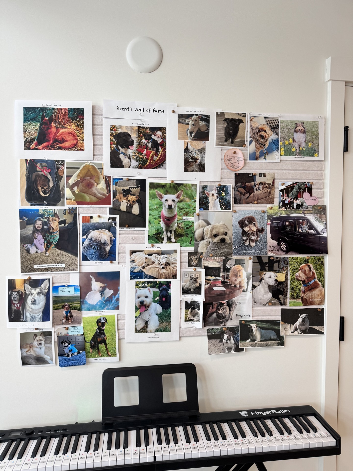 A personalised wall showing how Life Redesign is built around each individual at CONNECT