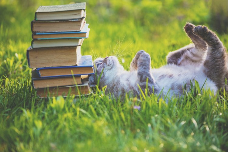 Cozy March Newsletter