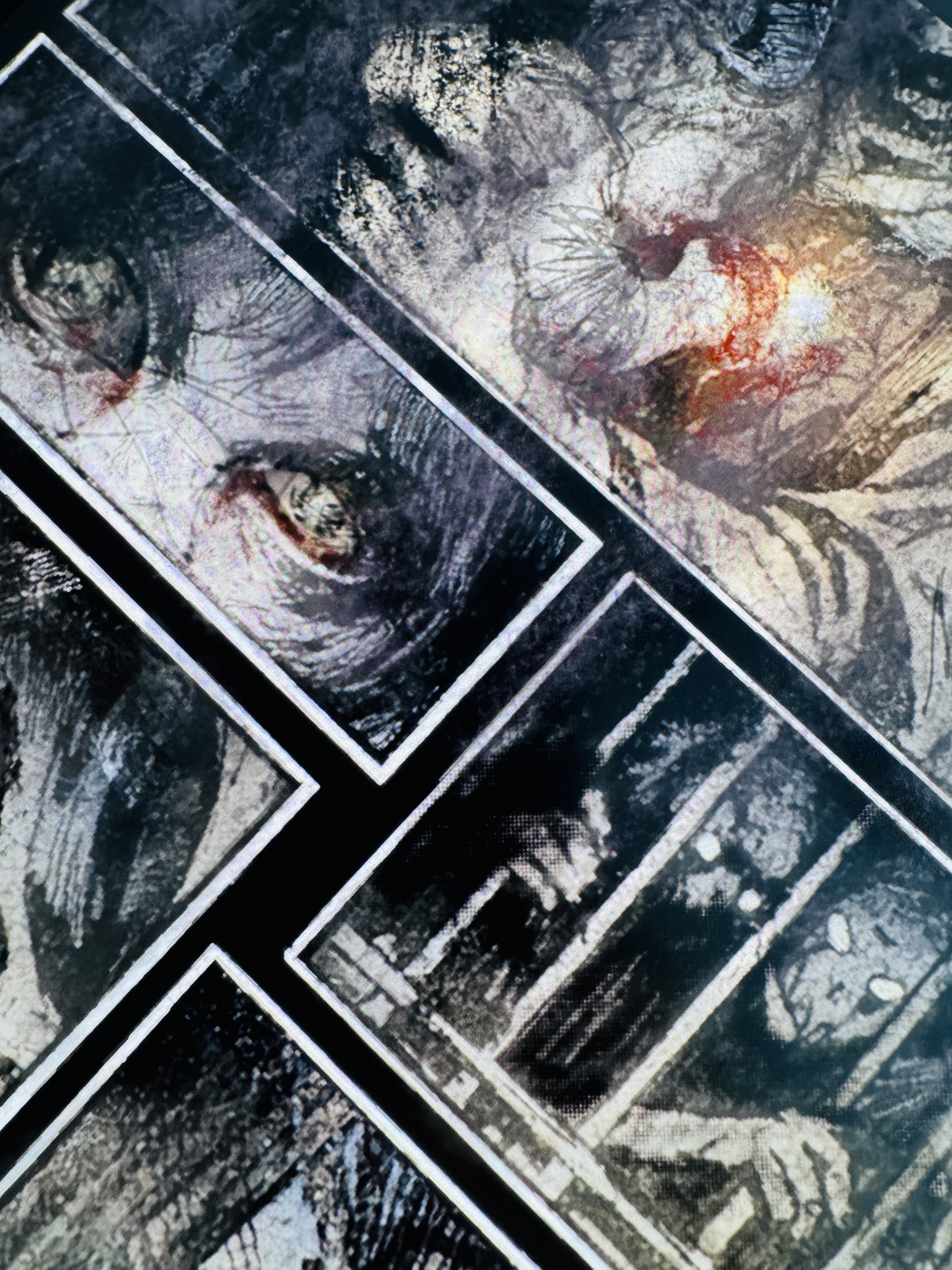 Custodia Umbrarum photographic artwork by April Martin