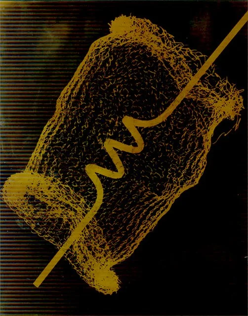 Experimental photogram by April Martin