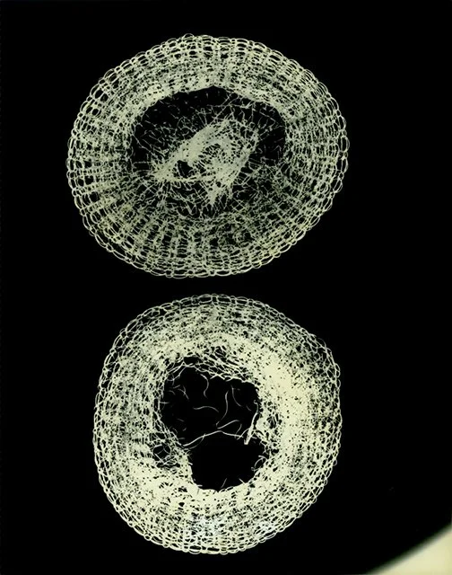 Artifacts of Exposure, wire photogram