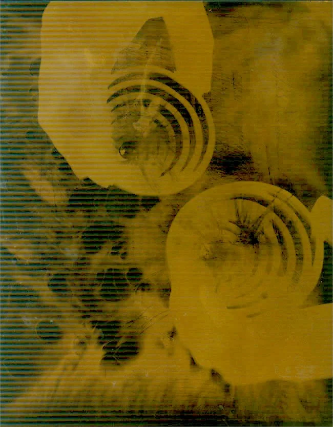 Swirls photogram by April Martin