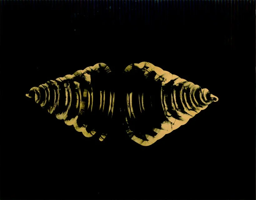 Ghost Impressions photogram, abstract layered silhouettes facing the same way