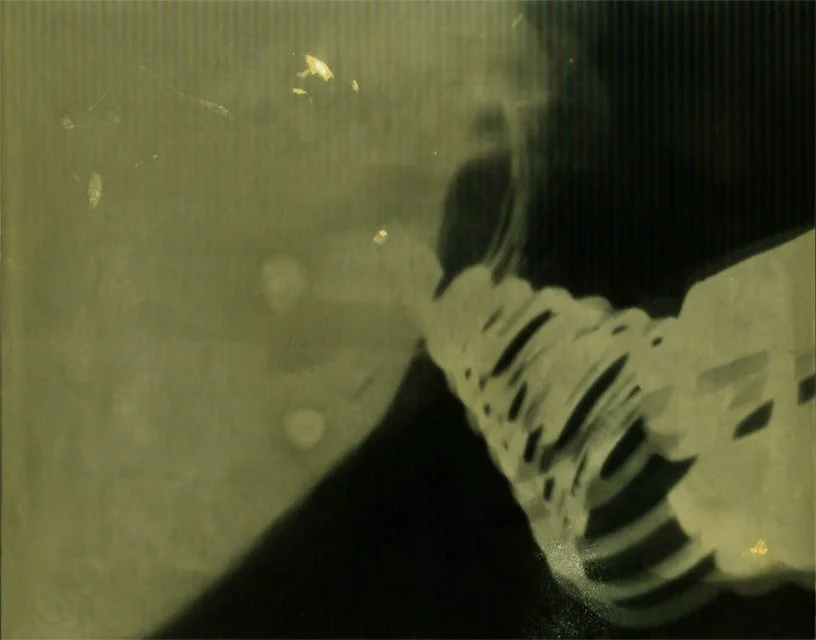 Experimental camera-less photograph by April Martin