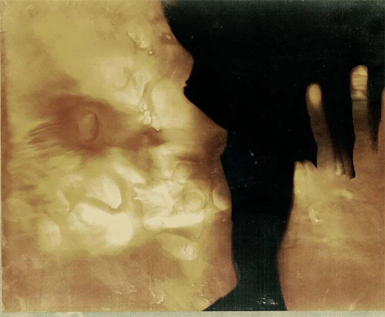 Lying There photogram by April Martin