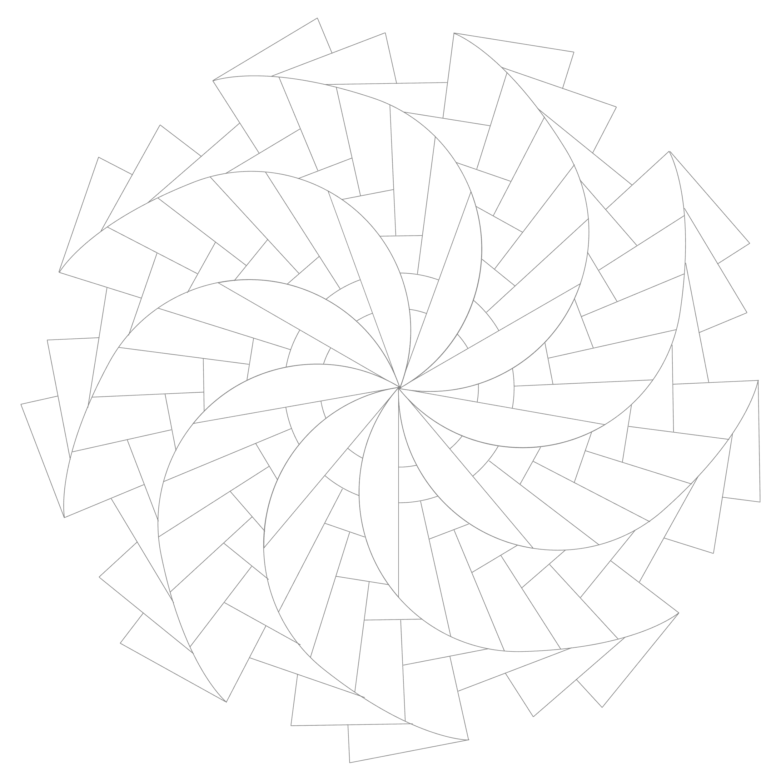 Image 24
