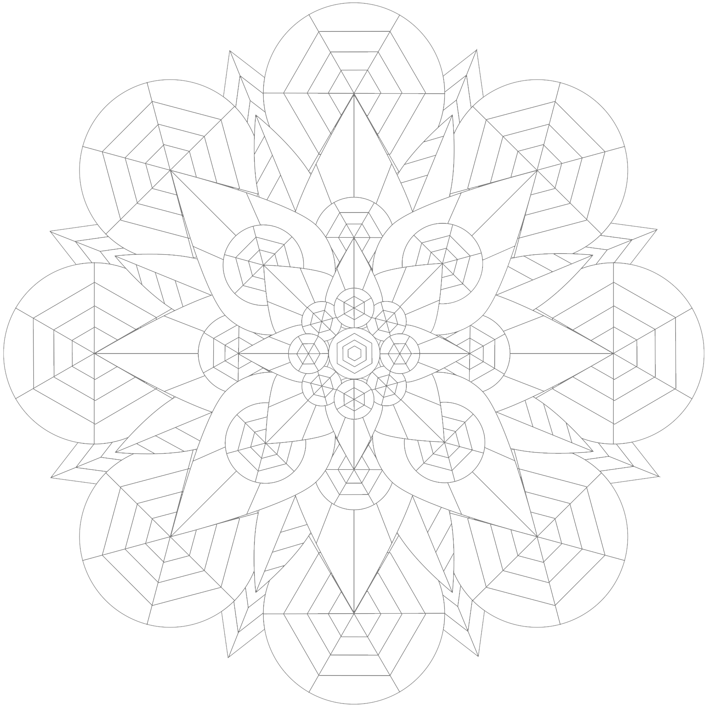 Image 21