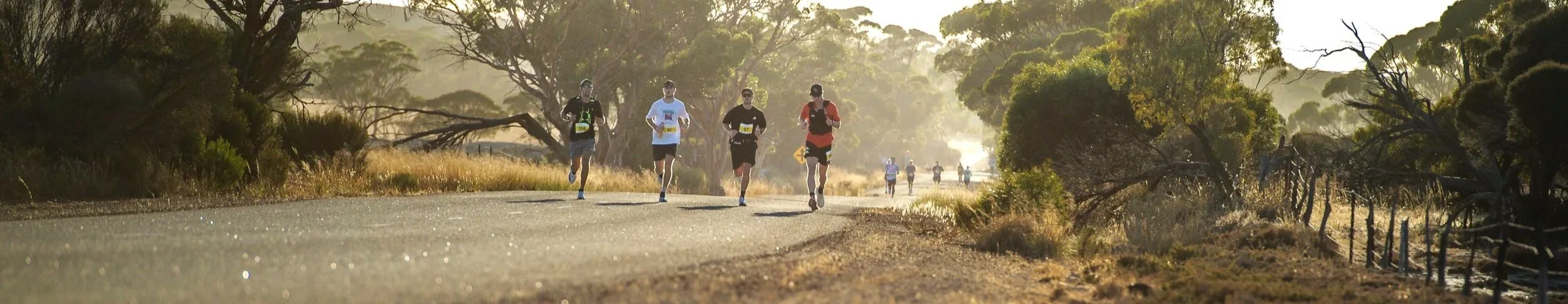 Hurt to Help — Bin to Bin runners