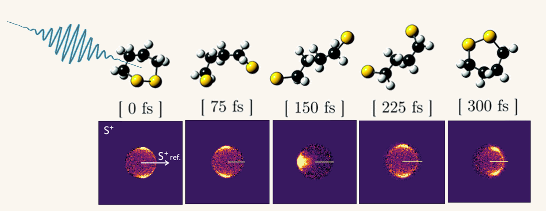 UV-induced structural dynamics of 1,2-dithiane. Top row: evolving molecular structure taken from quantum dynamics simulations, bottom row: Recoil frame covariance maps of sulfur ions recoiling from another sulfur ion travelling in the positive x-direction at the same time intervals