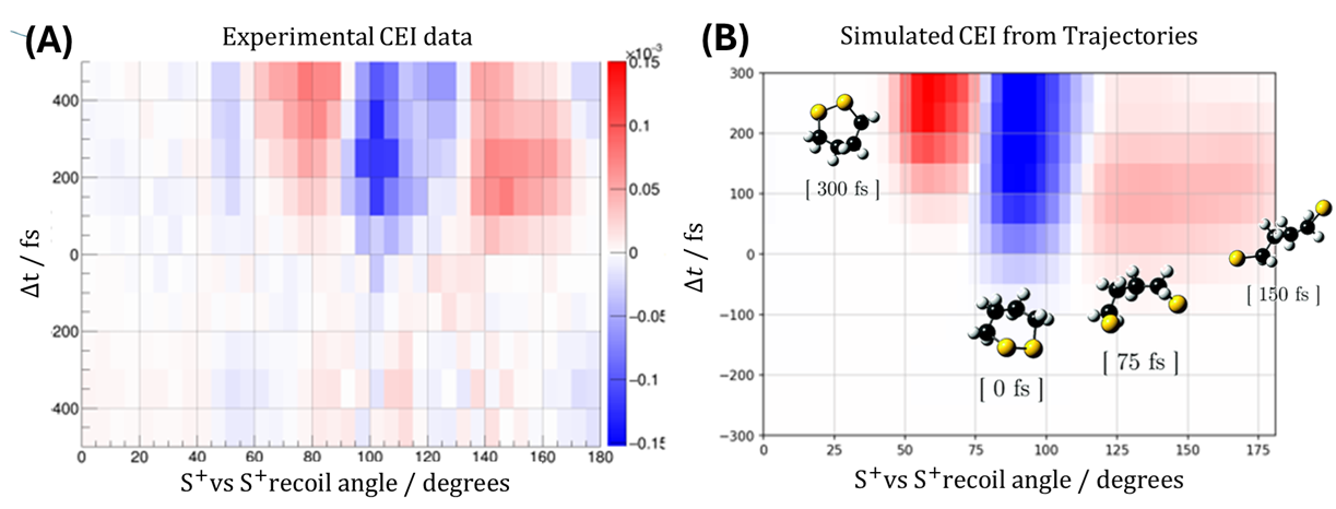 UV-induced structural dynamics of 1,2-dithiane